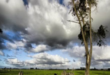 米兰真人-跨界决胜，从蒙得维的亚到NBA总决赛，卡拉斯科的接管时刻