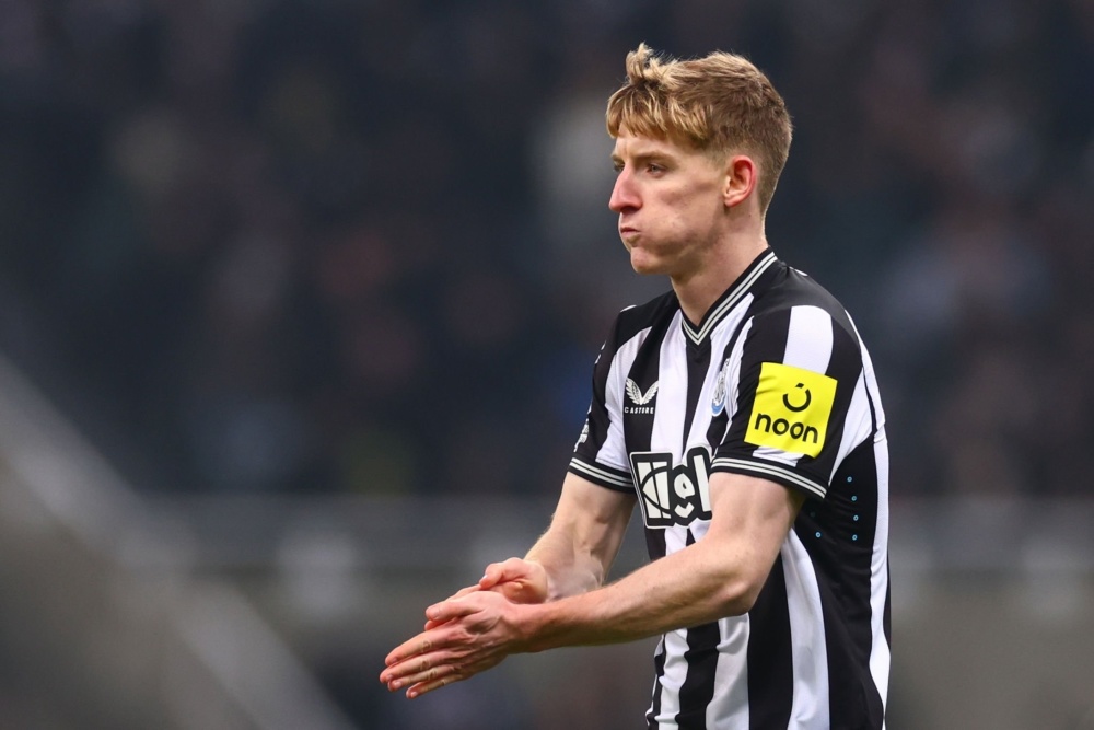 纽卡斯年破黄蜂，弗雷